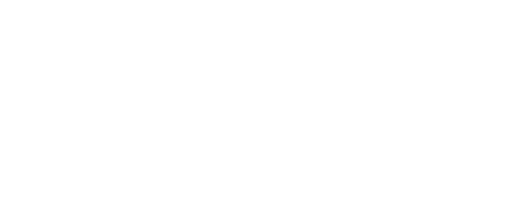 Vk Cars